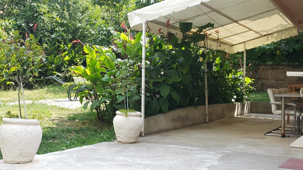 Nikcevic Apartament *